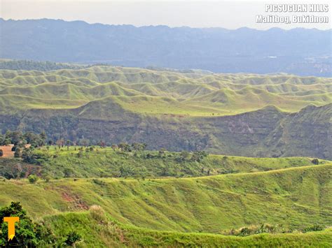 Malitbog, Bukidnon .